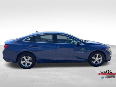2023 Chevrolet Malibu FWD 1FL