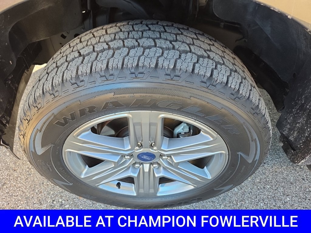 2019 Ford F-150 XL