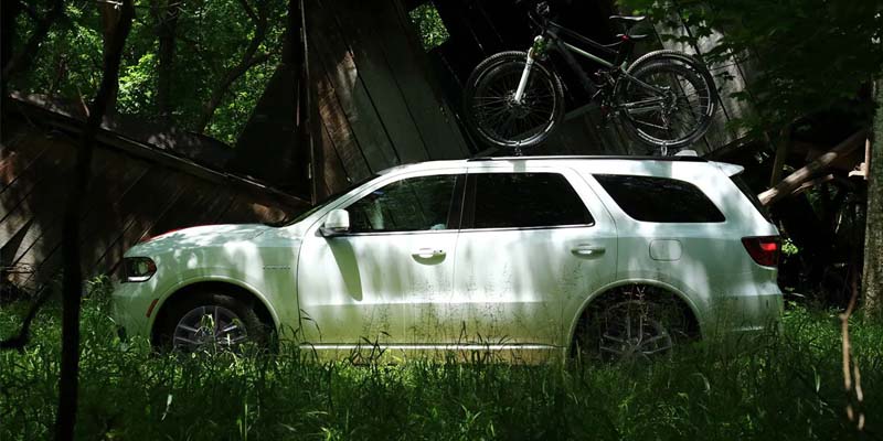White SUV with a rooftop mountain bike, parked in tall grass next to a collapsed wooden structure in a dense forest.