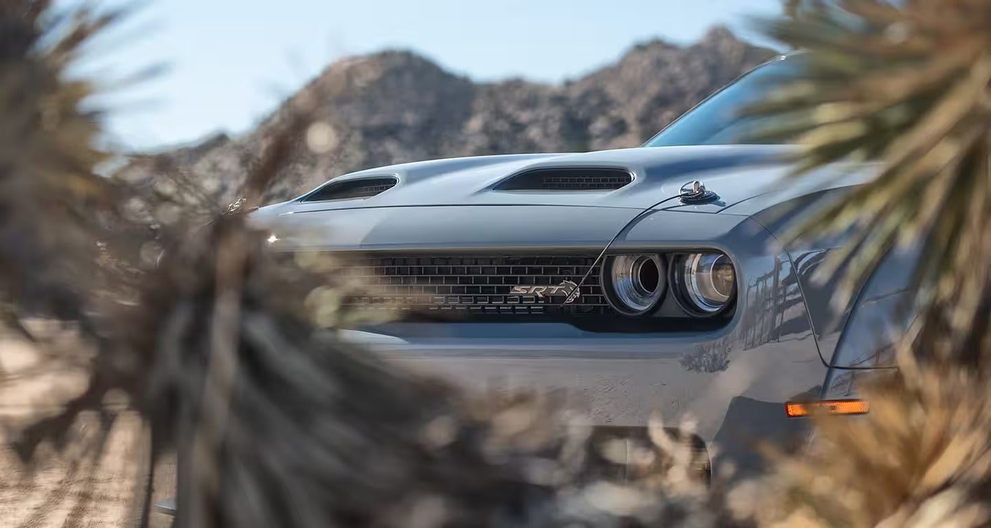 Close-up of a gray muscle car's front grille, headlights, and hood vents, partially obscured by desert plants.